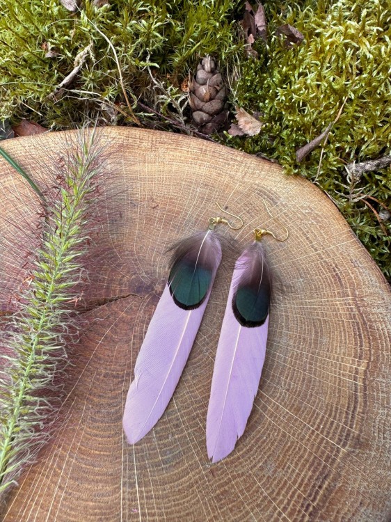 Zdjęcie WhatsApp 2025-10-09 o 12.32.43_57ca2a3c.jpg