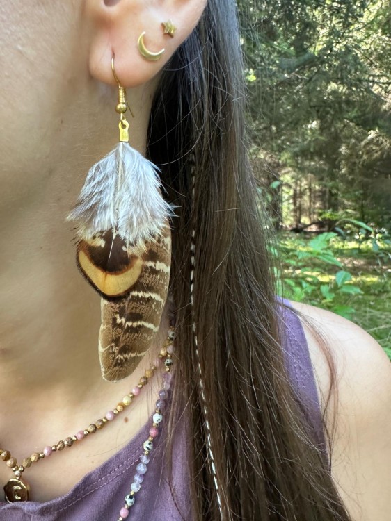 Zdjęcie WhatsApp 2025-10-09 o 12.32.43_81b4055b.jpg