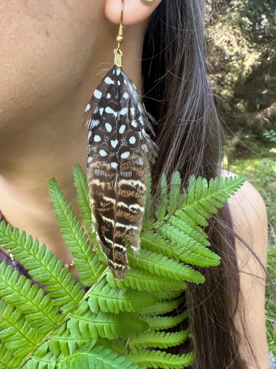 Zdjęcie WhatsApp 2025-10-09 o 12.32.45_1eacc0f2.jpg