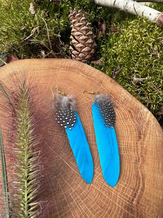 Zdjęcie WhatsApp 2025-10-09 o 12.32.45_77e4c900.jpg