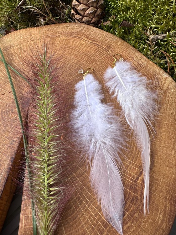 Zdjęcie WhatsApp 2025-10-09 o 12.32.45_e2551380.jpg