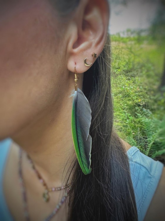 Zdjęcie WhatsApp 2025-10-10 o 11.53.28_f05a04b8.jpg