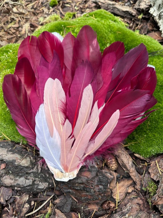 Zdjęcie WhatsApp 2025-10-21 o 11.07.59_4f029d4c.jpg