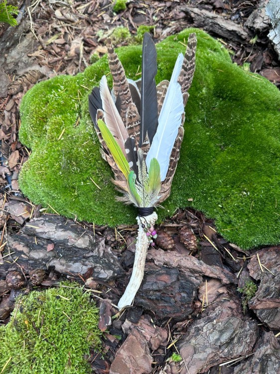 Zdjęcie WhatsApp 2025-10-21 o 11.08.00_764f401d.jpg