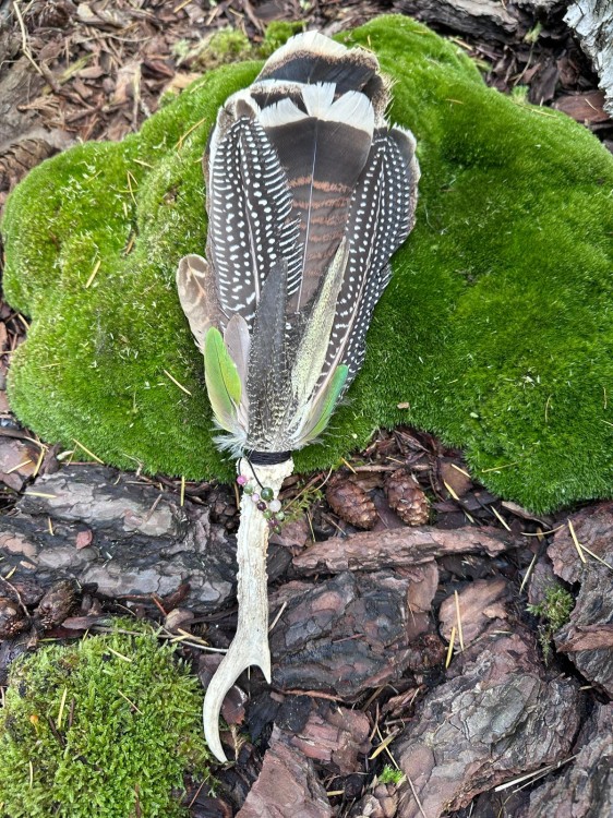 Zdjęcie WhatsApp 2025-10-21 o 11.08.00_7761abaa.jpg