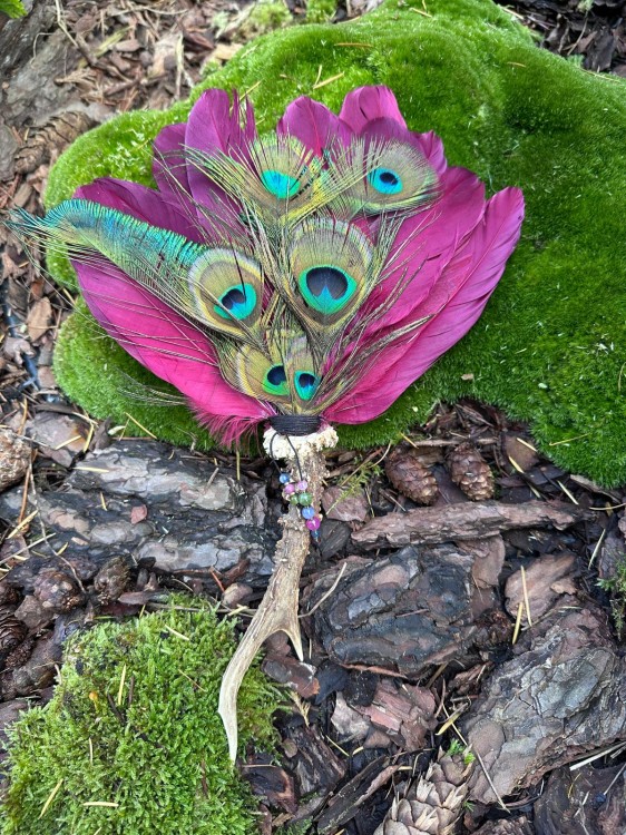 Zdjęcie WhatsApp 2025-10-21 o 11.08.00_a1725b6a.jpg