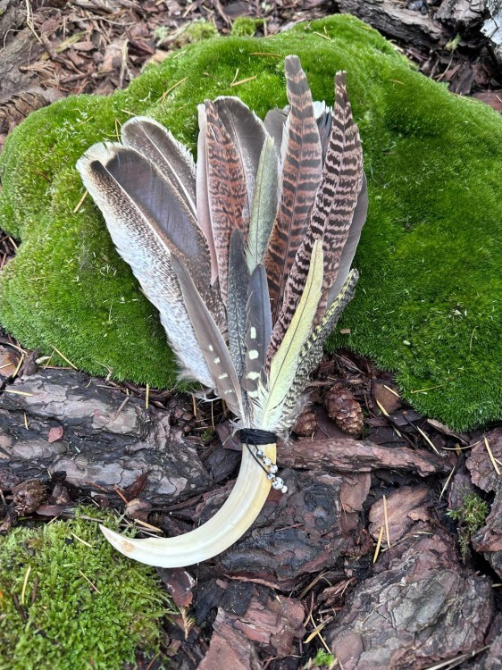 Zdjęcie WhatsApp 2025-10-21 o 11.08.00_0a06b478.jpg