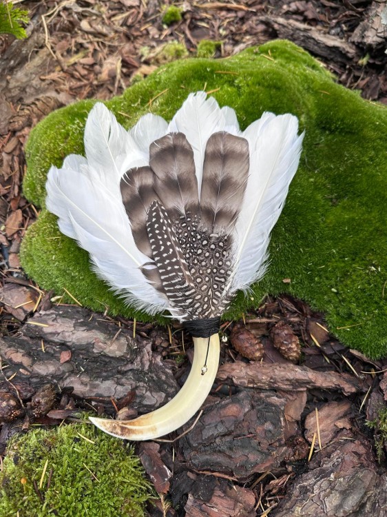 Zdjęcie WhatsApp 2025-10-21 o 11.08.00_3fe77e28.jpg