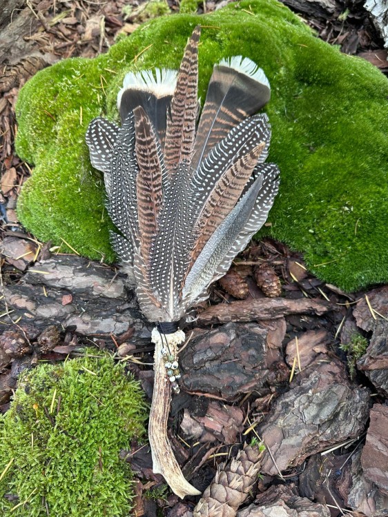 Zdjęcie WhatsApp 2025-10-21 o 11.08.00_3f96bdad.jpg